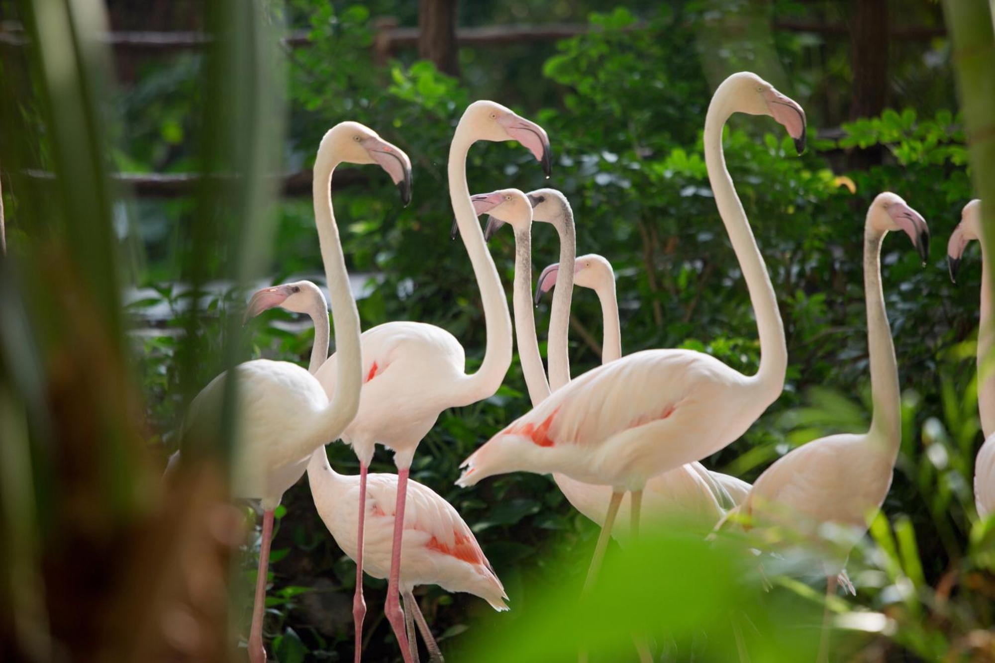 Tropical Islands Resort Briesen  Buitenkant foto